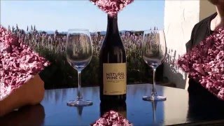 How to make Pinot Noir Winemaking in New Zealand [upl. by Ahseral]