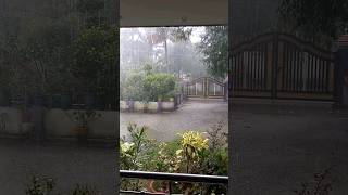 Jupiter mazha nanayam മഴ rainyday trendingshorts rainsong trending rainlover [upl. by Stark343]