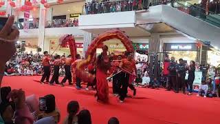 Festival Barongsai di CSB Mall Cirebon Part 5 [upl. by Fortunio37]