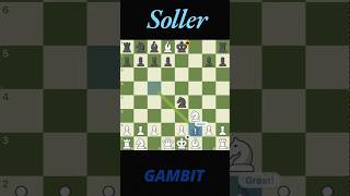 Soller Gambit [upl. by Bili]