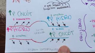 Distúrbios hemodinâmicos MAPA MENTAL [upl. by Annaerda]