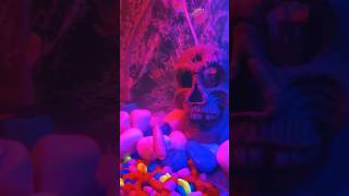 New tank mates  New tank setup  Colour full fishes  Best tank for beginners  happyfish 😄 [upl. by Ylrebma]