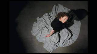 regina spektor  the calculation w lyrics [upl. by Birdie]