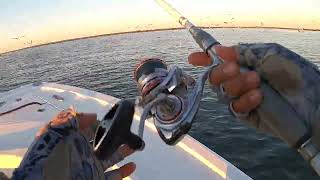 Fall Season Fishing In The Chesapeake Bay Maryland [upl. by Kerianne]