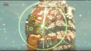 BotW  Master Mode Molduking speedrun in 78 seconds [upl. by Aenad]