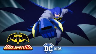 Treinamento De Combate I Batman Unlimited Português  DCKidsBrasil [upl. by Teage481]