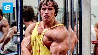 Best Bodybuilder of All Time  Arnold Schwarzeneggers Blueprint Training Program [upl. by Aven945]