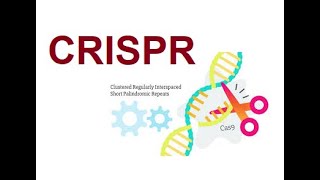 CRISPR  Clustered Regularly Interspaced Short Palindromic Repeats 2024 [upl. by Augy]