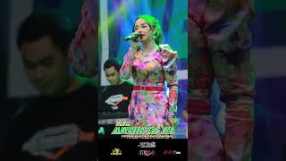 GALAU CICI PARAMIDA  TASYA ROSMALA  OMNEW ARDISTA 28 [upl. by Chandler]