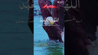 Amazing 😍 Tilawat e Quran with English subtitles quran tilawat beautiful trending love [upl. by Telrats275]