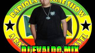 MELO DO VOADOR 2011 DJ EVALDO MIX [upl. by Rinna]