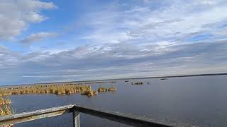 James looks through the public binoculars to see the Trumpeter Swans at Kimiwam Park McLennon [upl. by Angelique51]