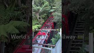 The World’s Steepest Railway at Scenic World 🚃  52° incline 😅 [upl. by Htebilil950]