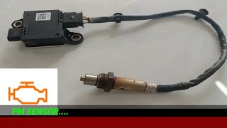 KIA SELTOS PM SENSOR REPLACEMENT  MALFUNCTION LAMP ON [upl. by Pembroke]