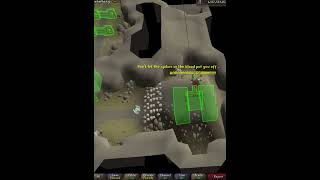 THE MOST SLEPT ON AGILITY COURSE OF ALL TIME OSRS SHORTS [upl. by Umeh]