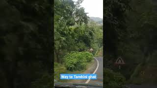 way to Tamhini ghat Pune viralvideo viralshorts youtubeshorts travel pune maharashtra tour [upl. by Ahsemad]