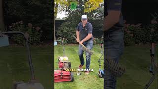 Top 3 Lawn Tools  Scarifying Rake Review amp Comparison [upl. by Zebulen]