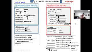 Ch 4 part 3 lecture 1 PNS physiology [upl. by Orpheus235]