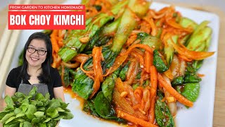 From Garden to Table Homemade BOK CHOY KIMCHI  Alternative to your traditional Kimchi [upl. by Oiluarb]