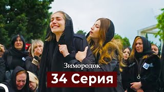 Зимородок 34 Cерия Русский дубляж [upl. by Bertilla]