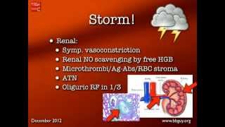 Transfusion Reactions Part 2 [upl. by Eihcir]