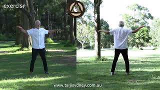 Larry Friedberg Taijisydney Exercise 2  Song Gong 2 [upl. by Mencher812]