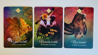 Your Future Spouse Revealed  Pick a Card  Timeless Tarot [upl. by Aerdnak]