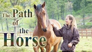 The Path of the Horse  Full Length documentary [upl. by Anyalram]