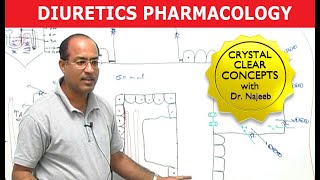 Diuretics  Pharmacology  Dr Najeeb [upl. by Shayne600]