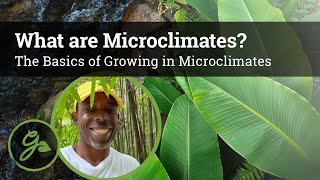 What Are Microclimates The Basics of Microclimates in Permaculture [upl. by Ainegul522]