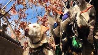 Everything About Duck Hunting amp Gear [upl. by Leahcimed]