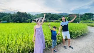 Checkin Local Ban Bang Homestay gần trung tâm nằm giữa cánh đồng amp vi vu khám phá TP Hà Giang [upl. by Halueb10]