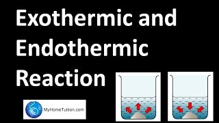 R112  R113 Exothermic and endothermic reactions [upl. by Nylimaj]