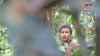 Seltene Aufnahmen Isolierter IndianerStamm im Amazonas gefilmt [upl. by Atineg]