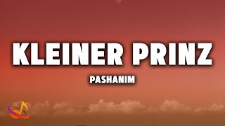 Pashanim  KLEINER PRINZ Lyrics [upl. by Enirod]