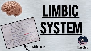 The Limbic System  Amygdala  Hippocampus  Papez and amygdala circuit [upl. by Kassey]