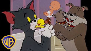 Tom amp Jerry  Family Time  Classic Cartoon Compilation  wbkids​ [upl. by Inness748]