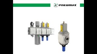 Documentazione elettrovalvola di sicurezza Pneumax [upl. by Cuttler]