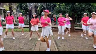 Terlalu Indah Remix Level  beginner Linedance demo by CICAN [upl. by Landon852]