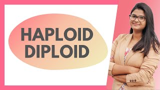 Haploid amp Diploid Explanation  Difference HINDI [upl. by Marnie649]