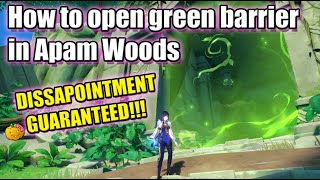 How To Open Green Barrier In Apam Woods Unlock a shortcut  Sumeru Genshin Impact 30 [upl. by Honorine]