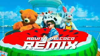 AGUITA DE COCO  REMIX HOUSE  JUNIC EL FAMOSO  MUSICA ELECTRONICA 2024 [upl. by Philbo]