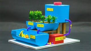 Science Projects  Aquaponic Farming Model [upl. by Ehc474]