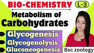 Biochemistry L3Metabolism of carbohydrates Glycogenesis Glycogenolysis gluconeogenesis [upl. by Libb]