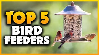 Top 5 Best Bird Feeders 2023 Dont Buy Until You Watch This [upl. by Hazelton154]