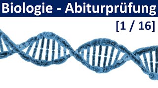 Biologie Abiturprüfung 2025  Tipps und Aufgabentypen 12  Abitur Biologie 116 [upl. by Clemente]