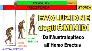 🐒➡🚶🏻‍♂️ LEVOLUZIONE DEGLI OMINIDI dallAustralopiteco allHomo Erectus 🔥 Storia Scuola Primaria [upl. by Talbot]