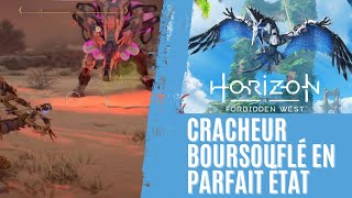 Cracheur Boursouflé en Parfait État  Horizon Forbidden West [upl. by Ambrosi]