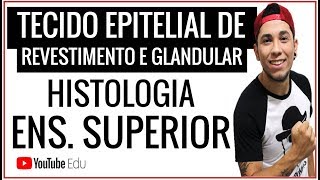 Tecido Epitelial  REVESTIMENTO E GLANDULAR │Aula de Biologia Ensino Superior  Prof Patrick Gomes [upl. by Magdau]