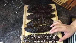 墨西哥海参泡发完整版 —【Maybel 话你知】Mexico sea cucumber soaking method [upl. by Yrrej]